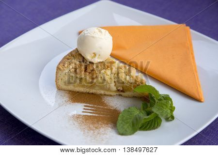 Apple pie dessert decorated with vanilla, mint and cinnamon .