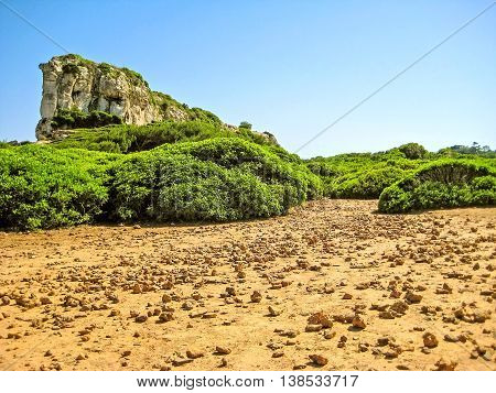 Mountain Rock With Green Bushes