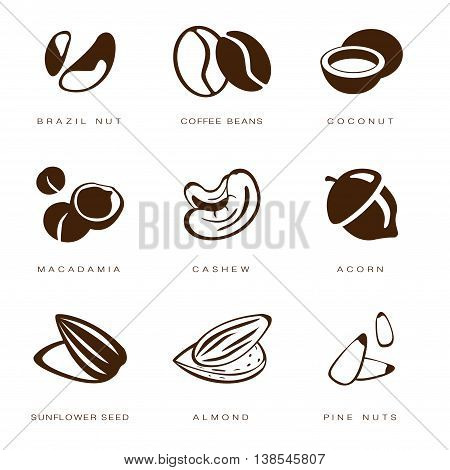 Web icons collection nuts, beans and seed