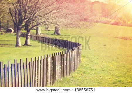 Wooden Fence Early in the early morning