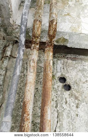 Fungal mold pipe unhygienic parasitic wall damage