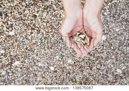 a woman holding a sea slug on the coast close-up