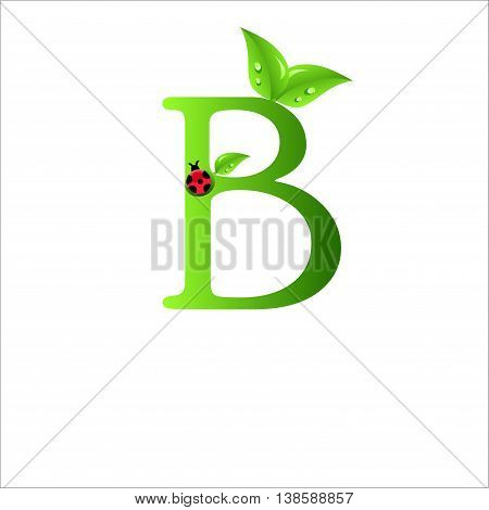 B