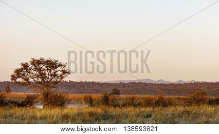 panoramic landscape of Nairobi National Park and Ngong Hills in Kenya