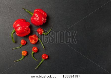 Red Chili Peppers