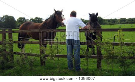 Homem mostrando a ternura/Kindess aos cavalos