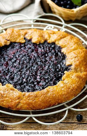 gallet with blueberry. style rustic. selective focus