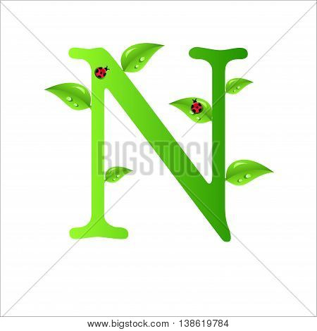 N