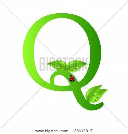 Q