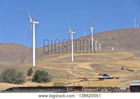 Wind eneregy generated by large blades spinning on a hill in Washngton state.