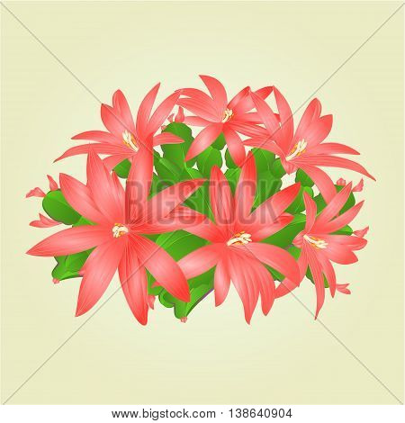 Easter cactus with flowers tropical succulent vector illustration