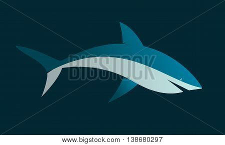 Shark on a blue background. Vector illustration.