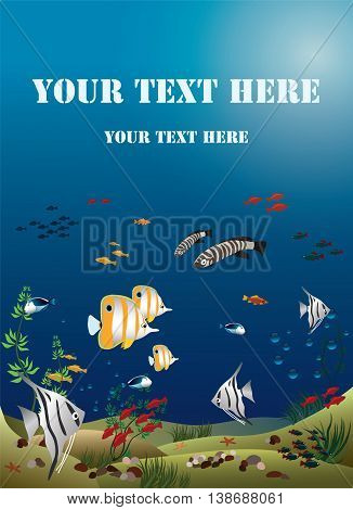 tropical fishes bottom of the ocean - vector illustration