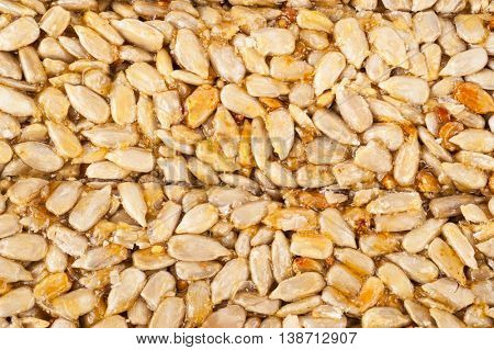 Pressed sunflower seeds candied in sweet syrup, kozinaki