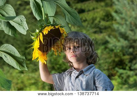 Cute little boy playing with sunflower in the garden