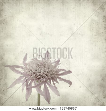 Textured Old Paper Background