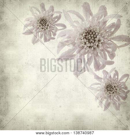 Textured Old Paper Background