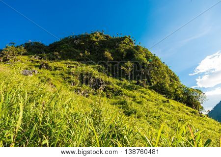 Green Scene Sub Alpine Mountain Blue Sky
