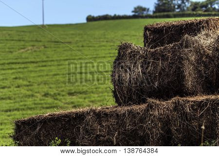 Hay bales on a field detail close up