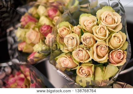 Roses in different colors packed in clear plastic.