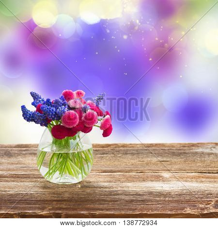 Muscari and Daisy Flowers in vase on wooden windiw, with summer garden bokeh background