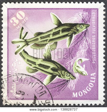 MOSCOW RUSSIA - JANUARY 2016: a post stamp printed in MONGOLIA shows a fish with the inscription 