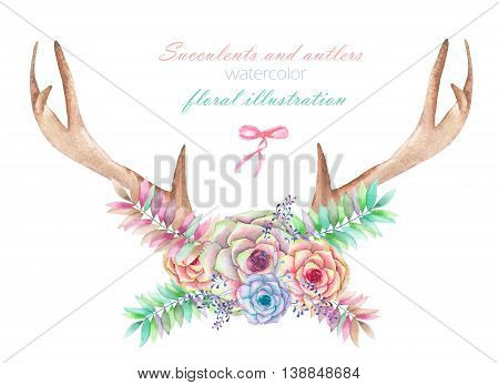 Floral watercolor illustration with the antlers, entwined succulents, flowers, leaves and branches, for decoration, isolated hand drawn on a white background, wedding design