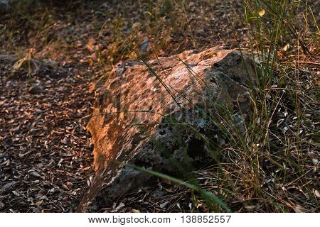 Stone on a mountain treking path at sunset in Sithonia, Greece