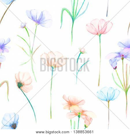 A seamless floral pattern with watercolor hand drawn tender pink and purple cosmos flowers, painted on a white background