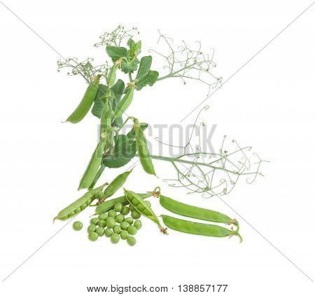 Several fresh green peas shelled from the pods several pods of a peas and branch with pods and leaves on a light background