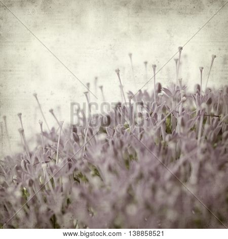 Textured Old Paper Background