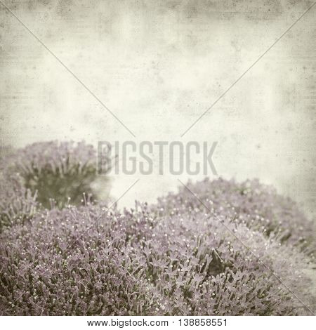 Textured Old Paper Background