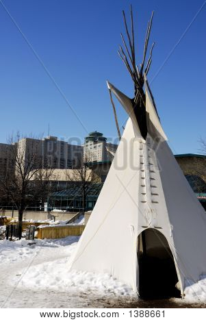 Tipi urbano