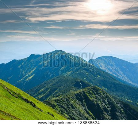 Mountain range covered with green trees in the background of the sunny sky