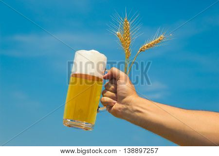 Close up of male hand holding glass mug of beer and wheat ears isolated on blue sky background. Beer industry and natural ingredients beverage concepts.