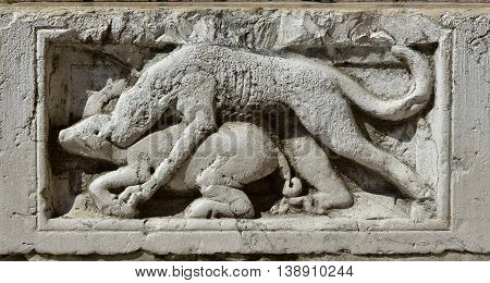 Ancient stone panel relief with a wolf (or dog) hunts a wild boar from St Mark Basilica in Venice