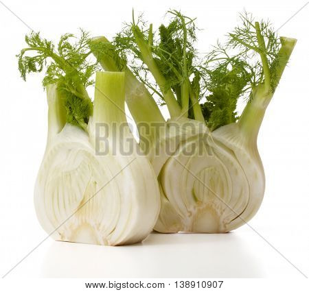 Fresh fennel bulb isolated on white background close up