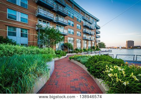 Flowers And The Boston Harborwalk At Battery Wharf, In The North End, Boston, Massachusetts.
