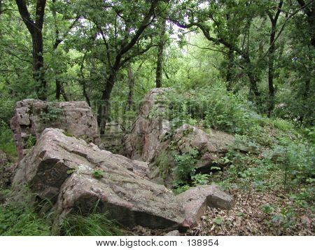 Rocky skov Scene