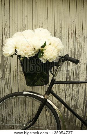 flowers in the basket of an old Bicycle on wooden background