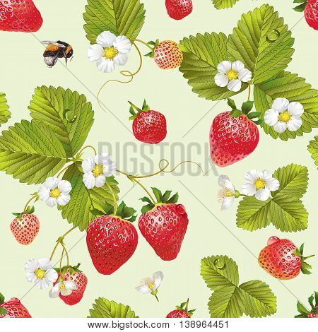 Vector strawberry seamless pattern. Background design for tea, juice ,natural cosmetics, candy with strawberry filling, farmers market ,health care products. Best for textile,wrapping paper.