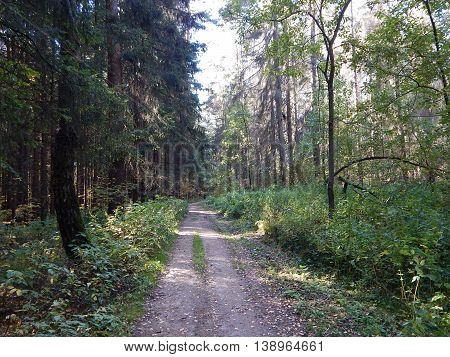 Road of the fotest in Moscow Russia