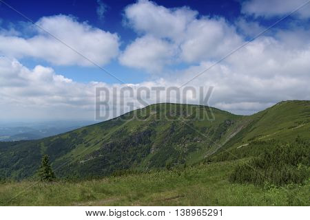 Sunny Summer Day In Krkonose Mountains National Park