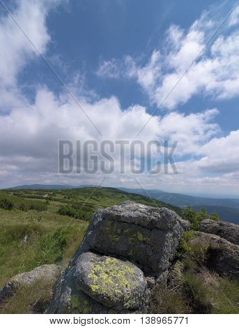 Sunny Summer Day In Krkonose Mountains National Park