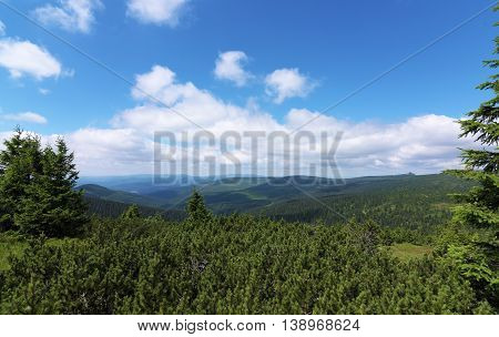 Sunny Summer Day In Krkonose Mountains National Park