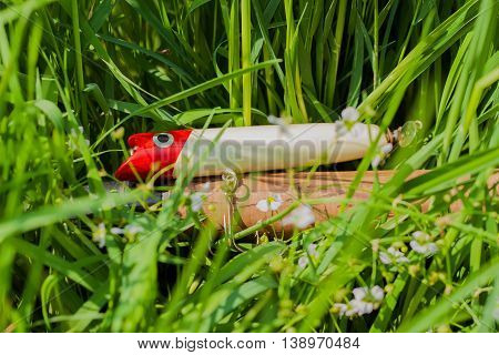 Pike fishing lure close up in grass - concept of a rural getaway and fishing