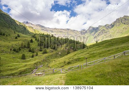 Amazing Mountain View In A Sunny Summer Day (ponte Di Legno, Valle Di Viso - Italy) - Panoramic View