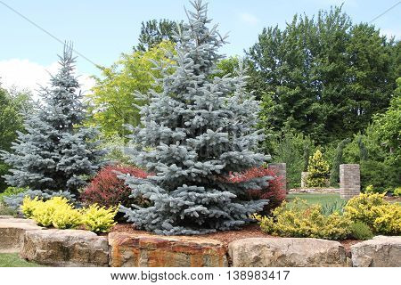 Landscaping of trees and shrubs lined with massive rocks