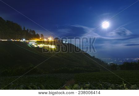 Vegetable And Strawberry Garden Night Shoot Long Exposure With Moon And Blue Sky At Phu Tubberk, Tha
