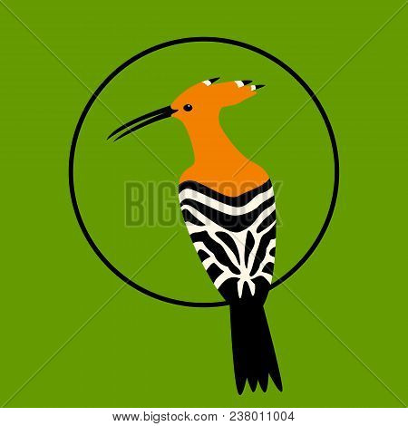 Bird Hoopoe Vector Illustration Flat Style Front Side